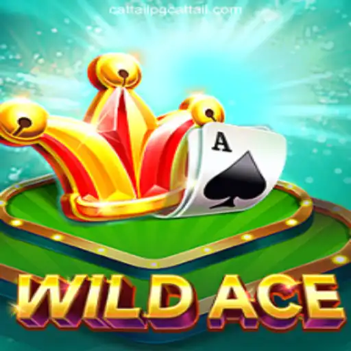 Exploring the Excitement of WildAce: Brazil's Premier Betting Platform